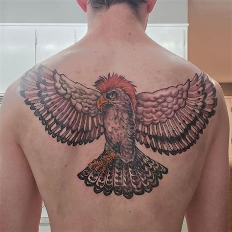 Got my hawk tattoo done last week : r/cobrakai