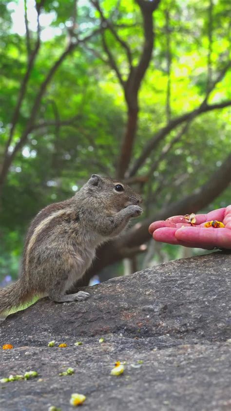 Close+Up+Lesbian+Kiss Videos, Download The BEST Free 4k Stock Video