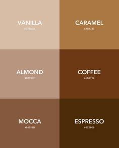 Black and Brown Color Palette