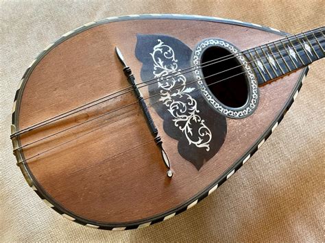 Vinaccia - Neapolitan Mandolin - - Mandolin - Italy - 1903 - Catawiki