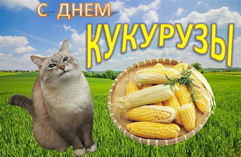 #мем #мемы #праздник | Мемы, Испанские мемы, Праздничные плакаты