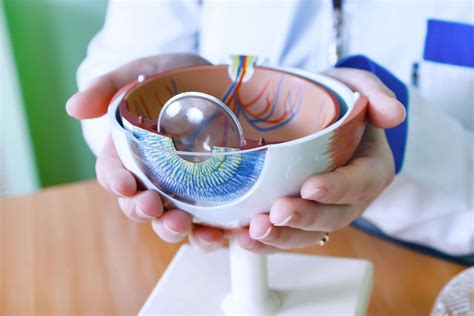 Expert Eye Care Center in Naples, Florida | Retina Health Center