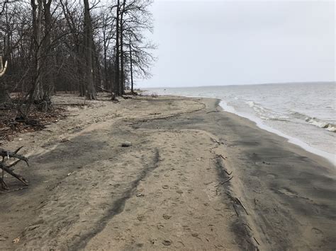 Lake water went down at NUDE BEACH AT... - Oka Zoo Nude Beach