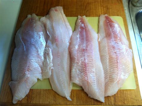 recipes for ling cod 7