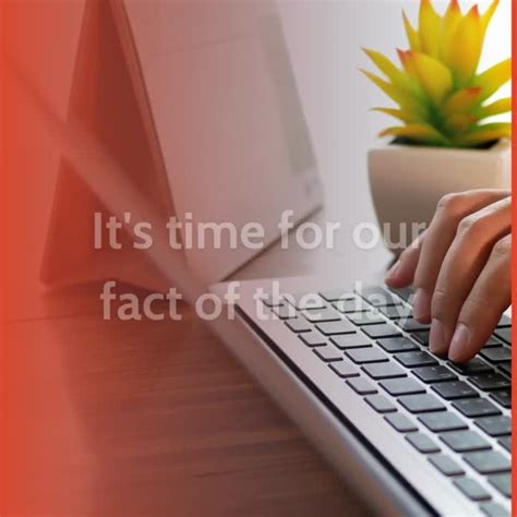 Gadget Access - Information Security on LinkedIn: # ... 