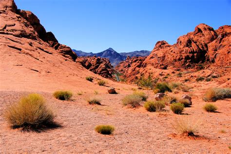 Love Hikes | Guided Valley of Fire Hikes Leaving from Las Vegas