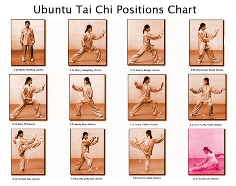 Ubuntu Tai Chi Positions Chart | Tai chi, Tai chi qigong, Tai chi exercise