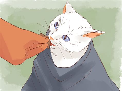 How to Give Cats Liquid Medicine: 8 Steps (with Pictures)