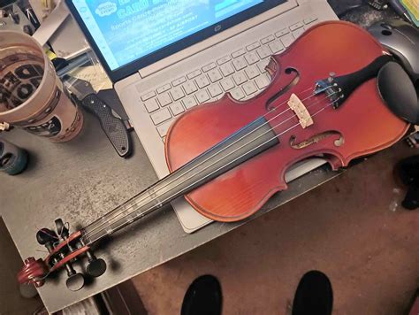 D Z Strad Viola Model 101 with Case and Bow (14") - Stringed