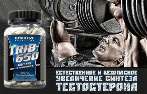 Тестостерон и спортивное питание (спортпит)