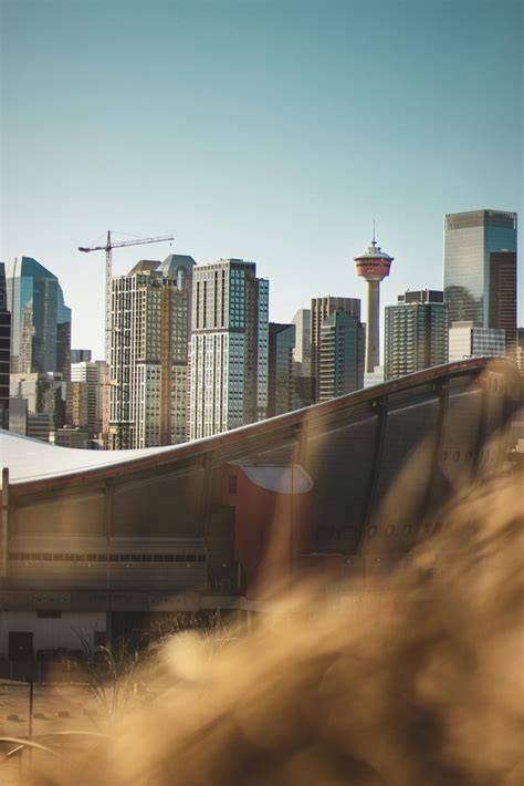 Calgary | Taylor Ryan