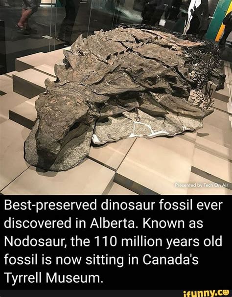 Best-preserved dinosaur fossil ever discovered in Alberta. Known as ...