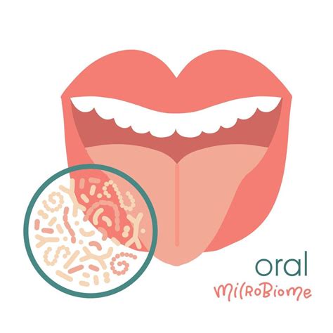 human oral microbiome isolated concept healthy probiotic bacteria