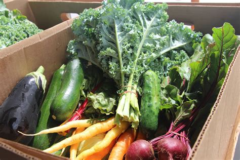 Why Local Food is Better For You - Rodale Institute