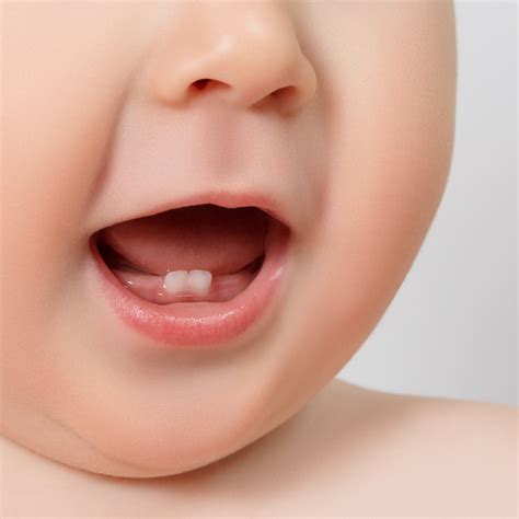Signs of Baby Teething | Bubs Australia