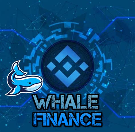 whale finance medium