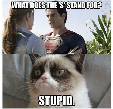 Grumpy Cat is one of my favourite memes - Imgur