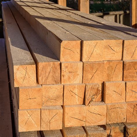 insurance   timber industry rivers