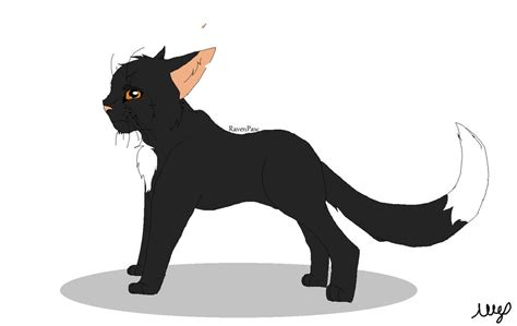 Warrior cats RavenPaw by AllePowerReal on DeviantArt