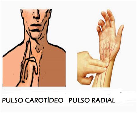 tips  mejorar  controlar el pulso puro tip articulos masters