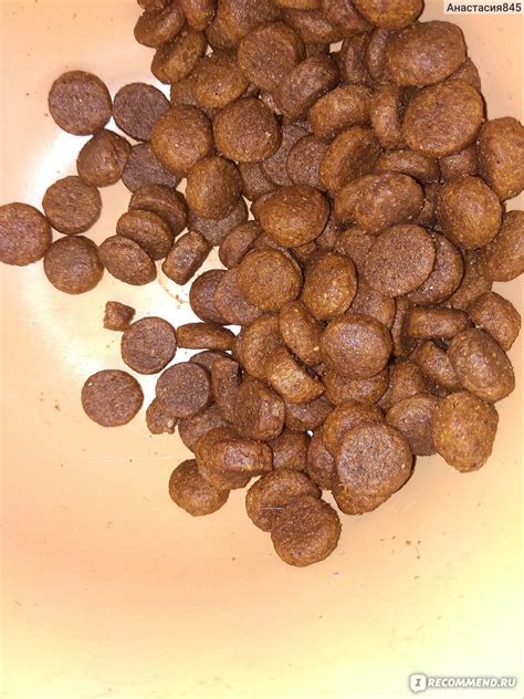 Корм для собак Karmy medium junior - «Недорогой, качественный корм ...
