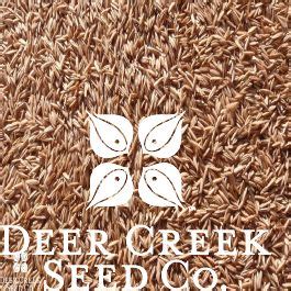 98-85 Kentucky Bluegrass | Seeds | Deer Creek Seed