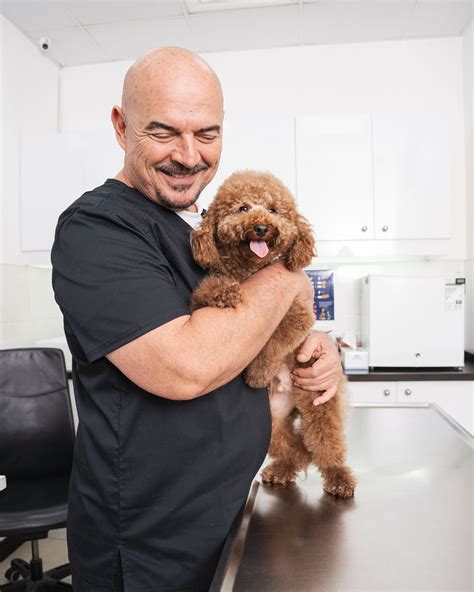 Can Dogs Eat Lemon? Risks of Citrus Fruits Explained