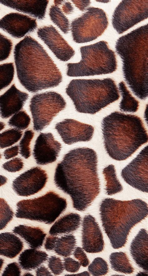 Giraffe Print Wallpapers - 4k, HD Giraffe Print Backgrounds on WallpaperBat