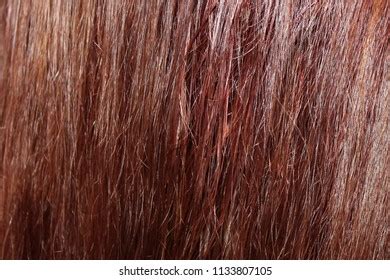 Dark Brown Hair Texture Background Stock Photo 1133807105 | Shutterstock