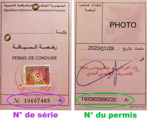Traduction de permis de conduire - Algérie - Livret rose - CABINET ALATA