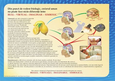 Pin on Noua medicina germana