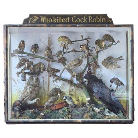anthropomorphic taxidermy diorama  killed cock robin