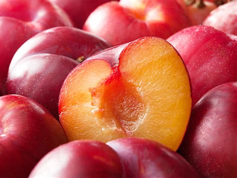 Plum Is The Show's Star This Monsoon: Recipe And Health Benefits ...