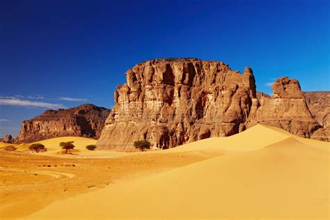 sahara desert algeria stock photo image  global lifeless