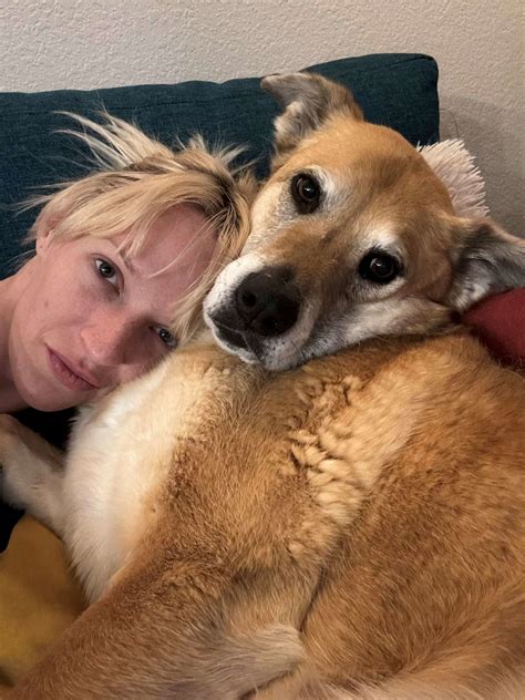 Longmont humane society longmont co saves hundreds of pets monthly 16