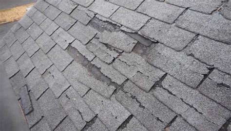 5 Signs of Roof Damage You Can't Ignore