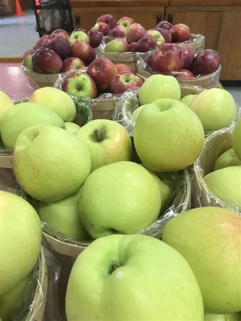 Interesting Apple Facts to Know - Parlee Farms