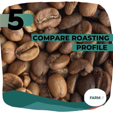 CONSISTENCY IN COFFEE ROASTING | 6 STEPS