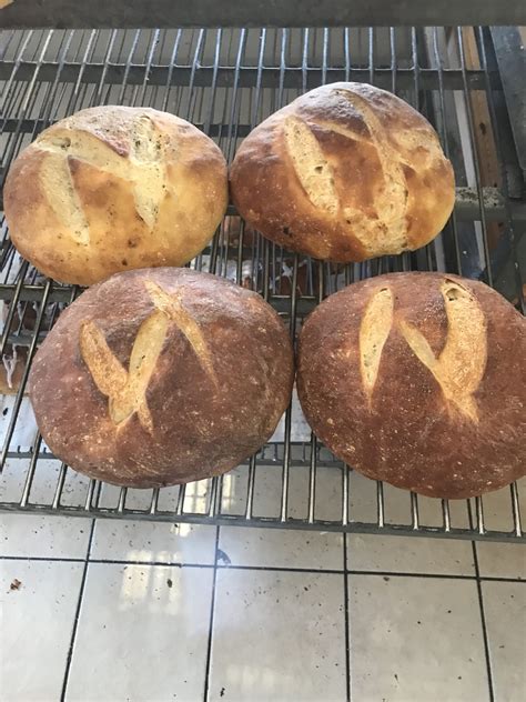 artisan sourdough house  bread reno