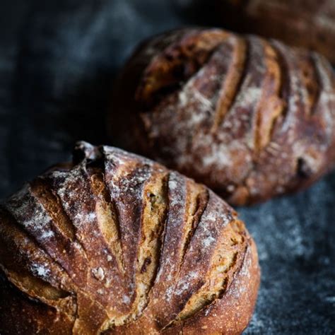 Types Of French Bread - soakploaty