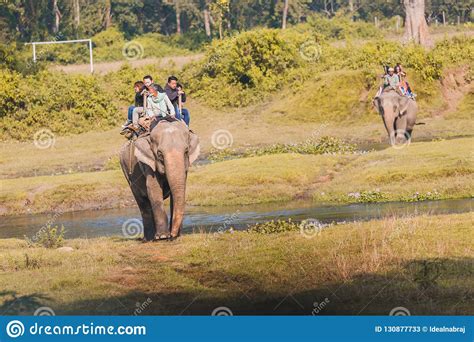 Elephant Jungle Safari at Chitwan National Park Nepal Editorial Stock ...