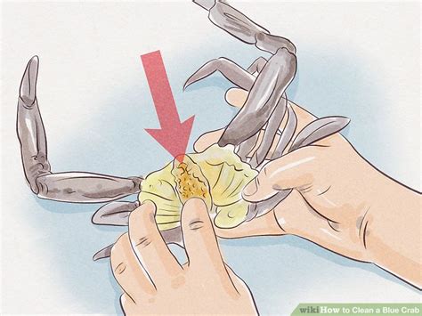 how to clean a blue crab