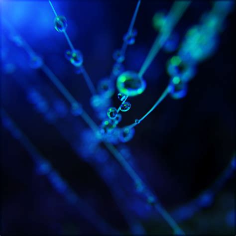 GLOW on Behance