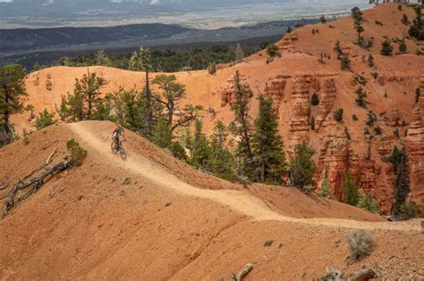 utah bryce  zion mountain bike  escape adventures