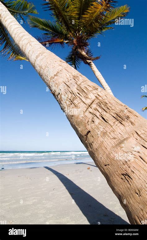 Playa El Agua on the island Isla de Margarita, Venezuela Stock Photo ...