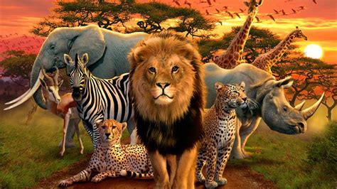African Animals Wallpapers - Top Free African Animals Backgrounds ...