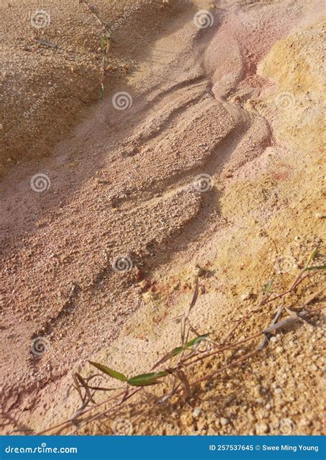 Barren Land Due To Erosion after Deforestation Stock Image - Image of