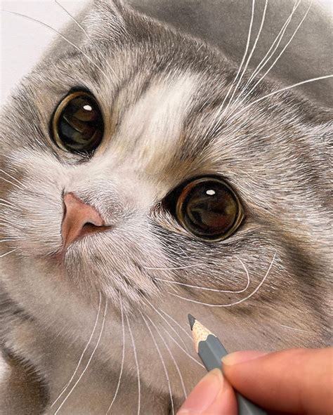 Este artista crea dibujos hiperrealistas de gatos curiosos y adorables
