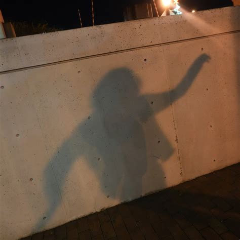 Living Shadows | RosyGrove