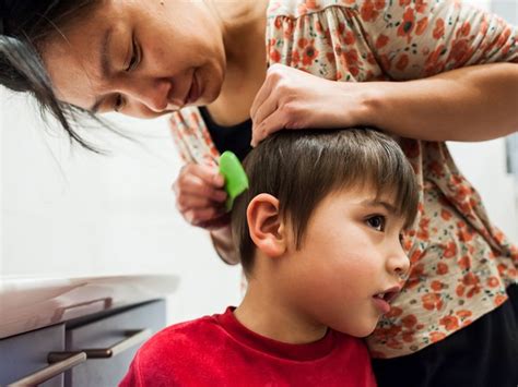 Lice treatments for kids: Which types are best?